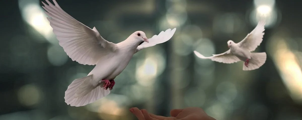 doves-6750143 1280